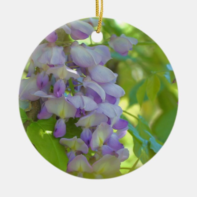 Lila Wisteria Blommars Flower Ornament (Framsidan)