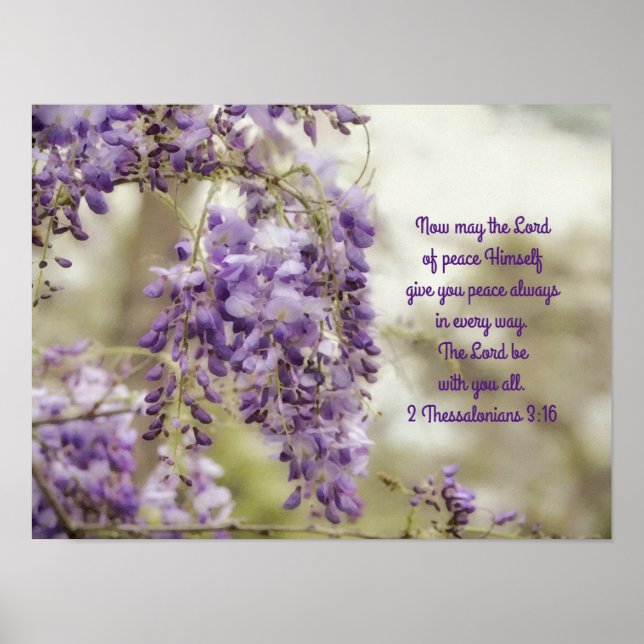 Lila Wisteria Flowers Art Bible Verse Poster (Framsidan)