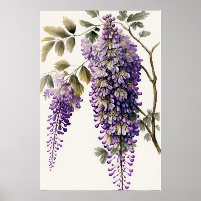 Lila Wisteria Flowers Art Print Poster (Framsidan)