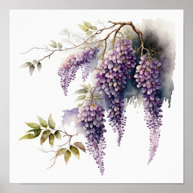Lila Wisteria Flowers Art Print Poster (Framsidan)