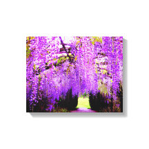 Lila Wisteria Wall Art Art