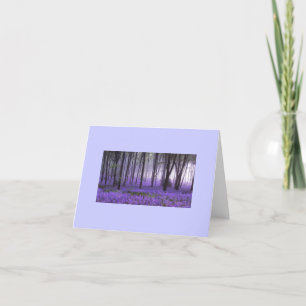 lila zensuality-kort kort