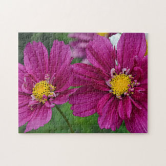 Lila Zinnia Pussel