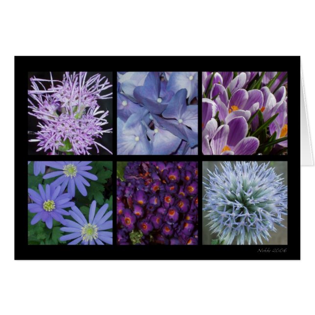 Lilablommakort Hälsningskort (Framsidan Horizontal)