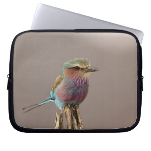 Lilabröstad kråka, Coracias caudata, Samburu Laptop Fodral