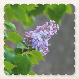 Lilac Beauty Underlägg Papper