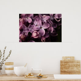 Lilac-Blommar efter regnet Poster