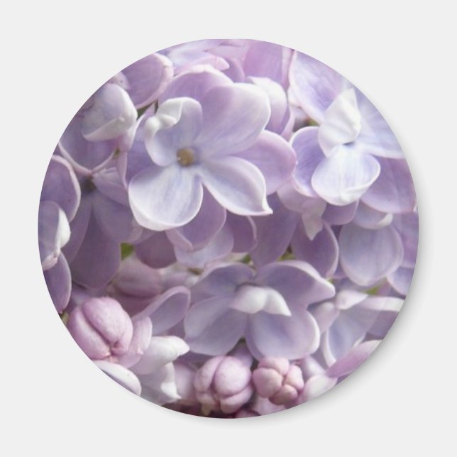 Lilac Blommars Magnet (Framsidan)