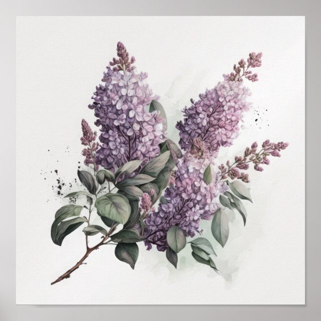 Lilac Blommor Konsttryck Poster  (Framsidan)