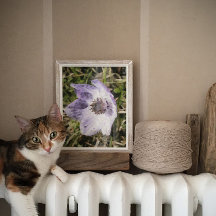 Lilac Blue Anemone Coronaria Vild Flower Paining