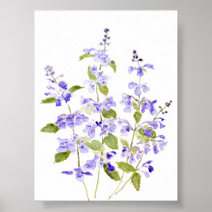 lilac-blue lila violet Nepeta racemosa Walker's Poster