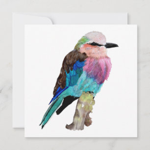 Lilac Breast Roller Bird Julkort