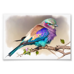 Lilac-Brested Roller Bird Fototryck