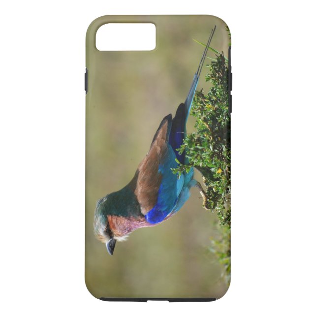 Lilac Brested Roller Bird iPhone 7 Fodral Case-Mate iPhone Skal (Baksida)
