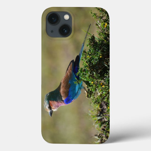 Lilac Brested Roller iPad Mini fodral (Baksida)