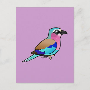 Lilac-bröstad roller vykort
