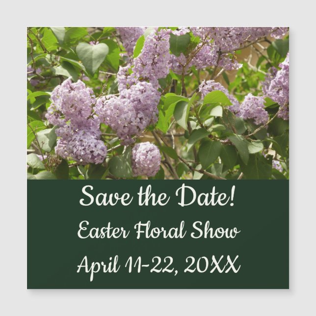 Lilac Bush Bevackra Lila Vår blommor (Framsida)