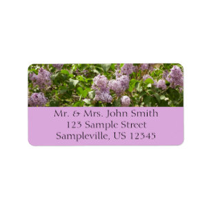 Lilac Bush Bevackra Lila Vår blommor Adressetikett