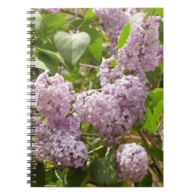 Lilac Bush Bevackra Lila Vår blommor Anteckningsbok (Framsidan)