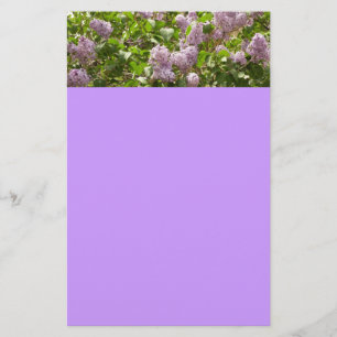 Lilac Bush Bevackra Lila Vår blommor Brevpapper