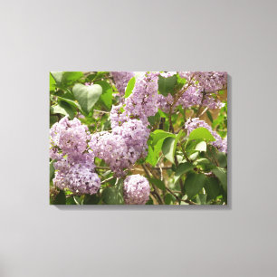 Lilac Bush Bevackra Lila Vår blommor Canvastryck