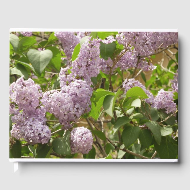 Lilac Bush Bevackra Lila Vår blommor Gästböcker (Framsida)