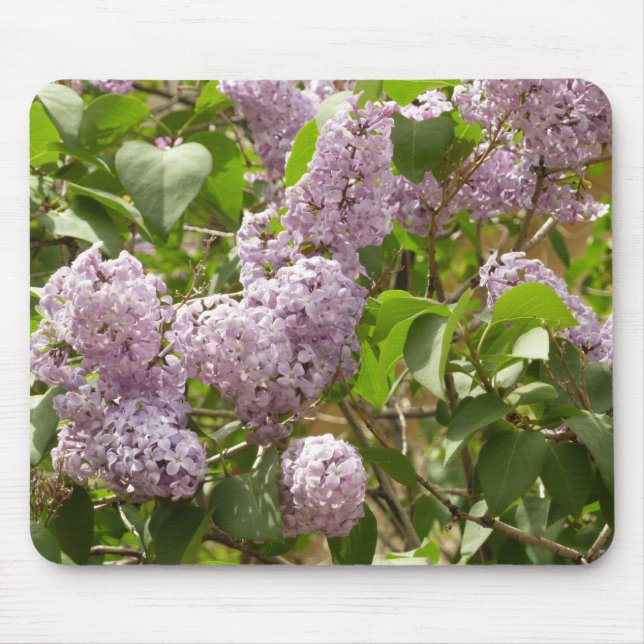 Lilac Bush Bevackra Lila Vår blommor Musmatta (Framsidan)