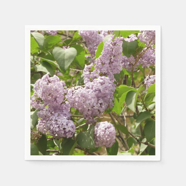 Lilac Bush Bevackra Lila Vår blommor Pappersservett (Framsidan)
