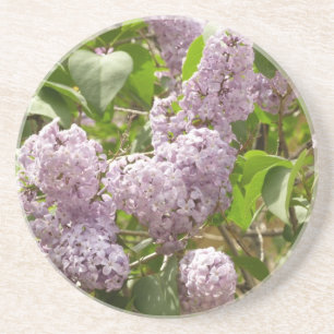 Lilac Bush Bevackra Lila Vår blommor Underlägg
