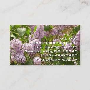 Lilac Bush Bevackra Lila Vår blommor Visitkort