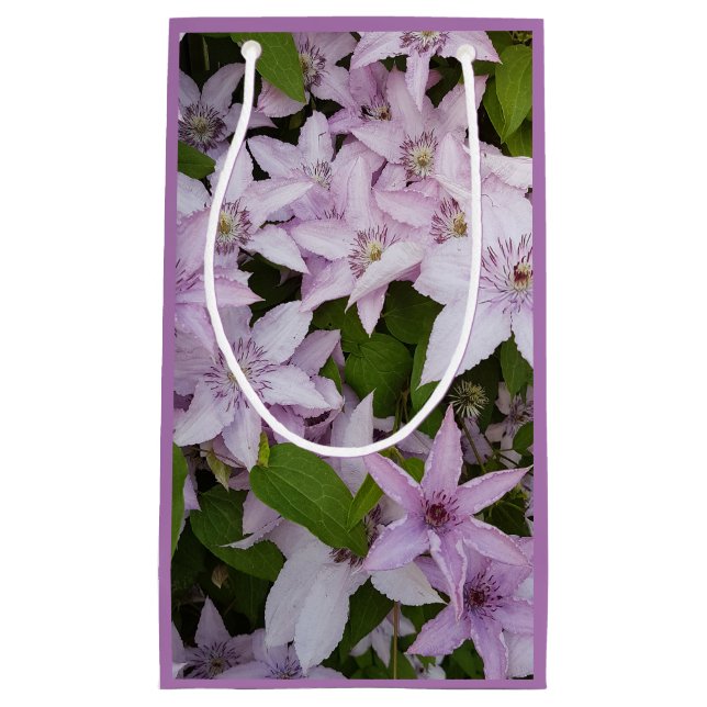 lilac ,clematis, vacker, blomma,lilac-blomma, (Framsidan)