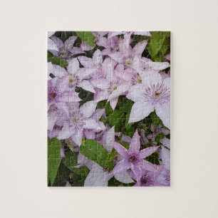 lilac ,clematis, vacker, blomma,lilac-blomma, pussel
