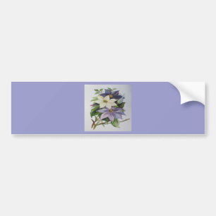 Lilac Clematis Vine Acrylic Painting Bildekal