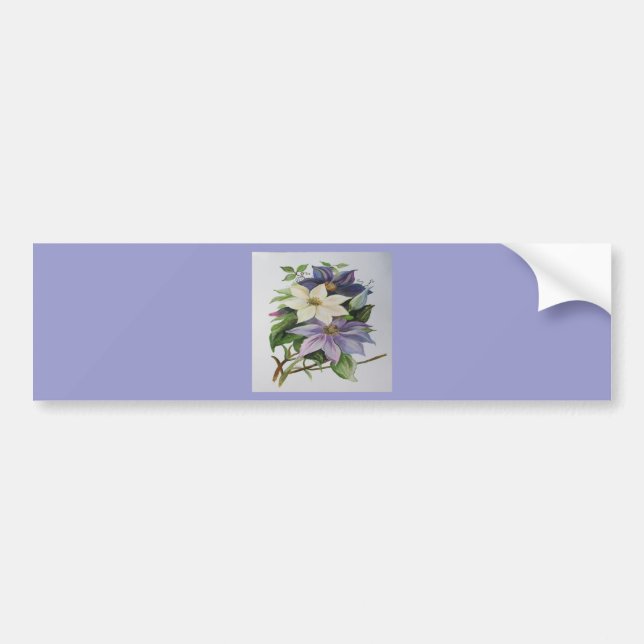 Lilac Clematis Vine Acrylic Painting Bildekal (Framsidan)