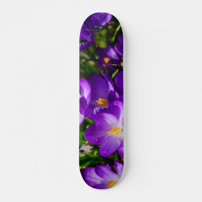 Lilac Crocuses Skateboard Bräda 20 Cm (Framsida)