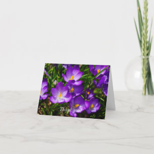 Lilac Crocuses Tack Kort