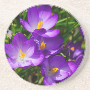 Lilac Crocuses Underlägg
