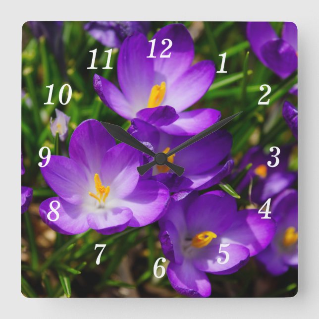 Lilac CrocusWall Clock Fyrkantig Klocka (Framsida)