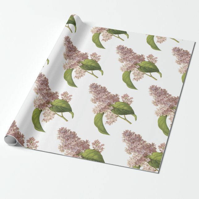 Lilac Flower Mönster Presentpapper (Utrullad)