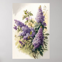 Lilac Flowers Art Print Poster