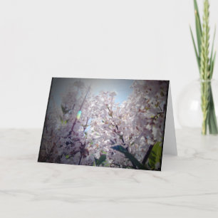 Lilac Flowers Kort