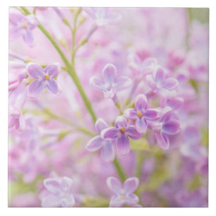 Lilac Flowers Mist Kakelplatta