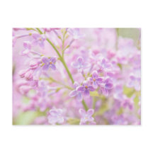 Lilac Flowers Mist