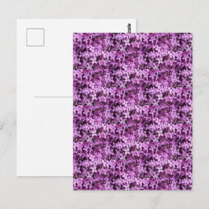 Lilac Foto Klinkande halvdropp Vykort