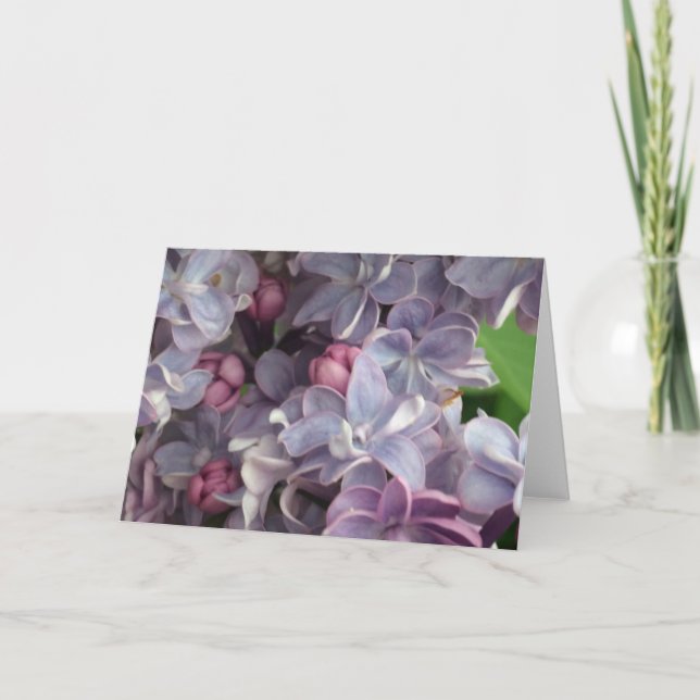 Lilac Hälsning Card Kort (Framsida)