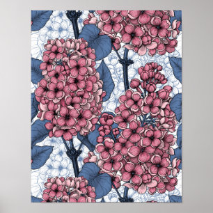 Lilac i rosa och blått poster