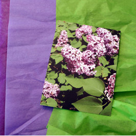 Lilac Kärlek Vykort