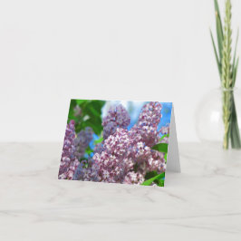 Lilac-kort 1 kort