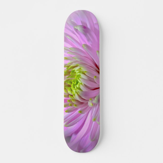 Lilac/Lavender Dahlia Skateboard (Framsida)