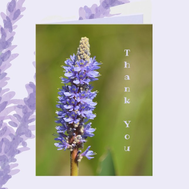 Lilac Lila Pickerelweed Flower Botanical Blommigt Anteckningskort (Skapare uppladdad)